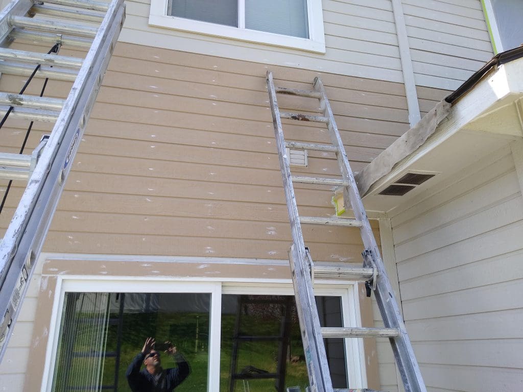 64b9497c1ca96e75e4f9cc1f (IMG) on Light Carpentry Projects at PAINTCO